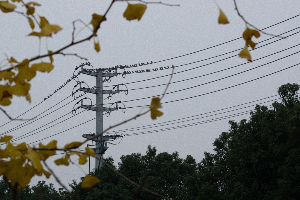 entry 100 – 03 Apr&nbsp;2025