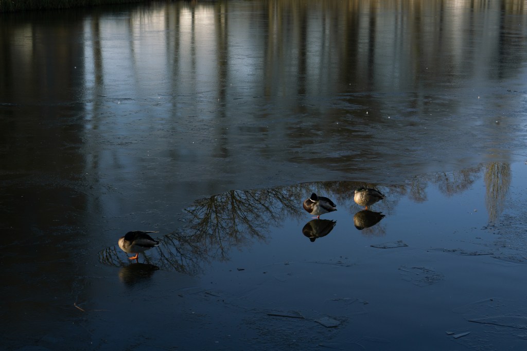 entry 104 – 17 Apr&nbsp;2025