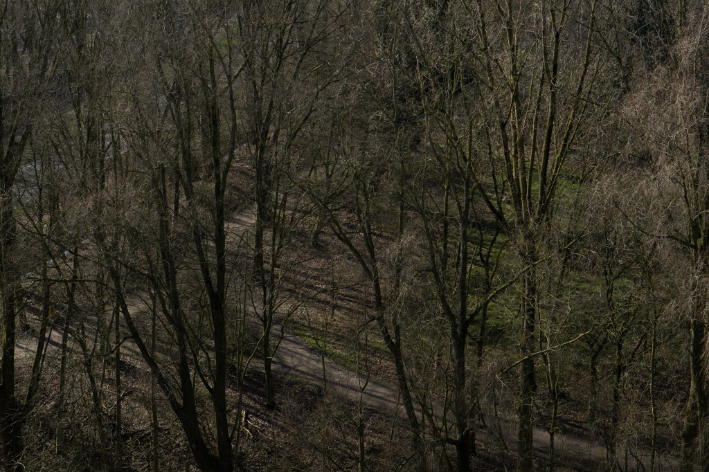 entry 105 – 23 Apr&nbsp;2025