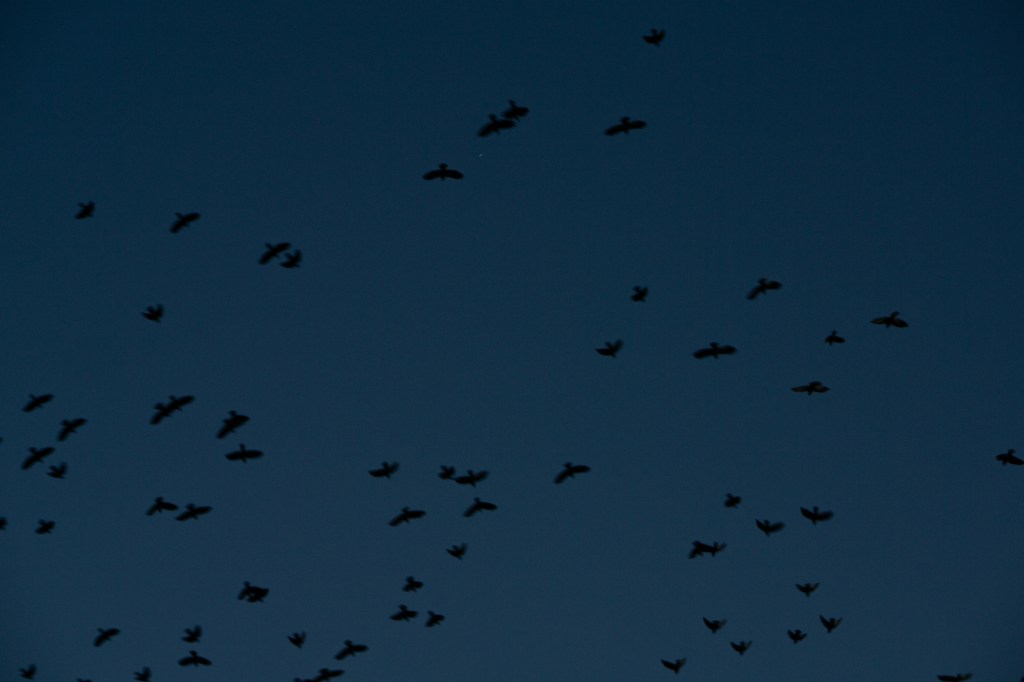 entry 114 – 22 May&nbsp;2025