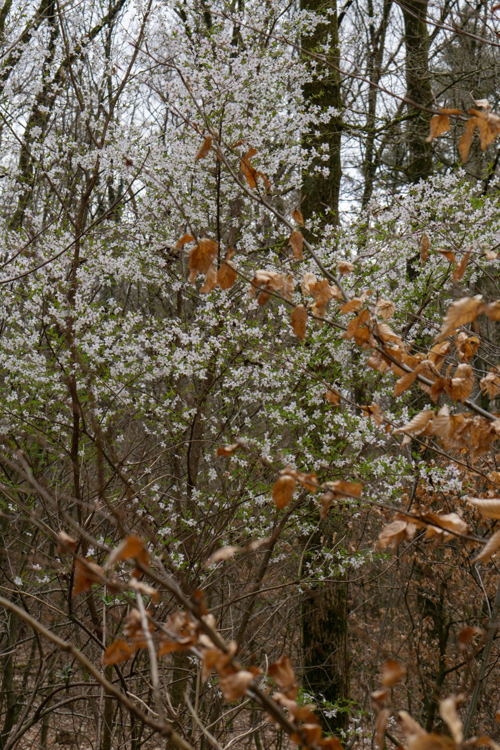 entry 124 – 28 Aug&nbsp;2025